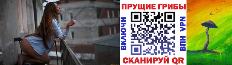 Галлюциногенные грибы GOLDEN TEACHER Нарьян-Мар